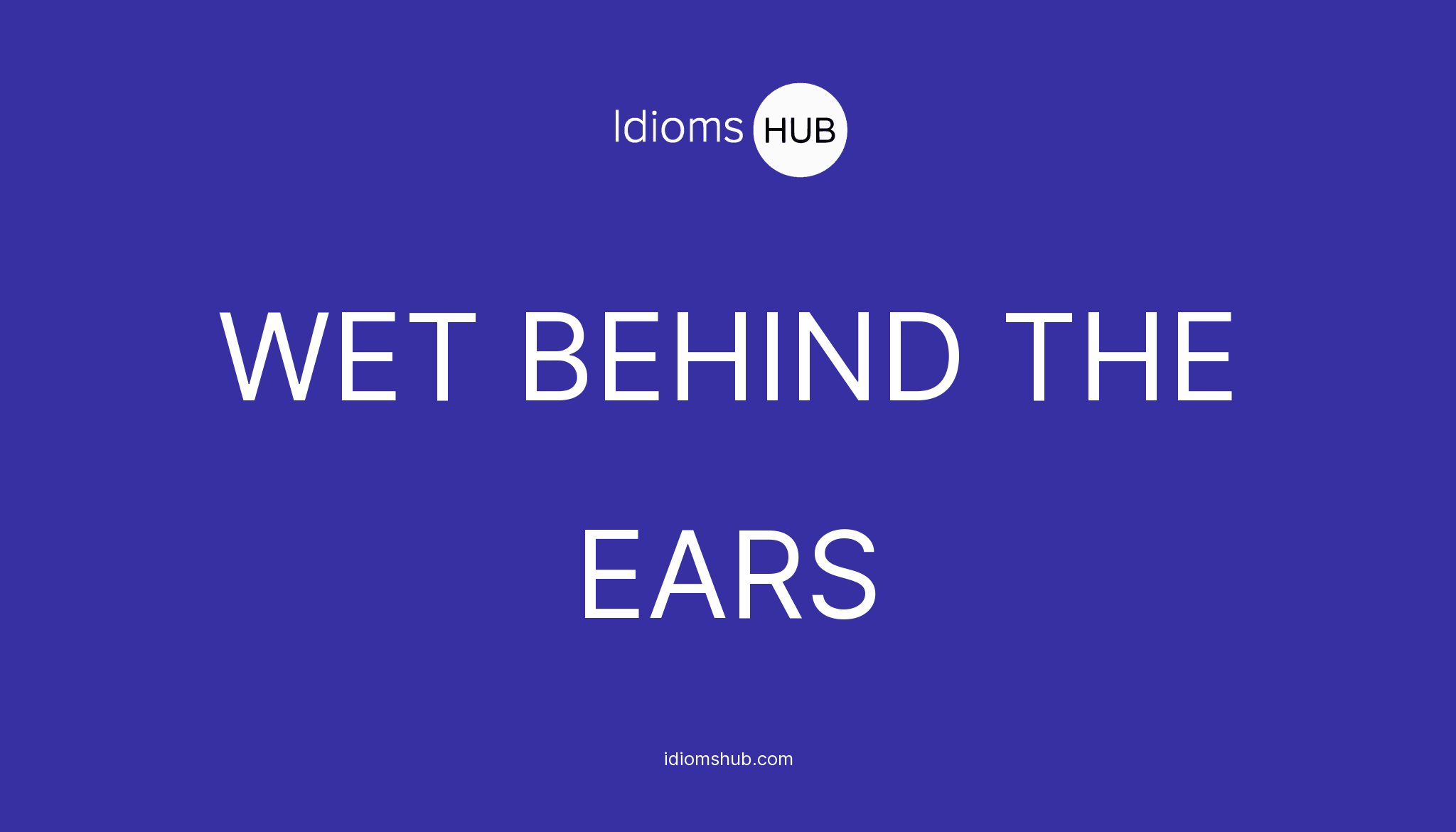 wet-behind-the-ears-idiom-meaning-examples